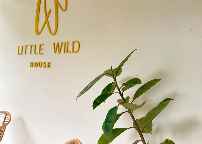 Private Room With Share Bathroom At Little Wild House Khaosok